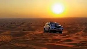 morning desert safari